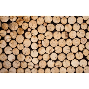 如何正确選擇木材幹燥設備？